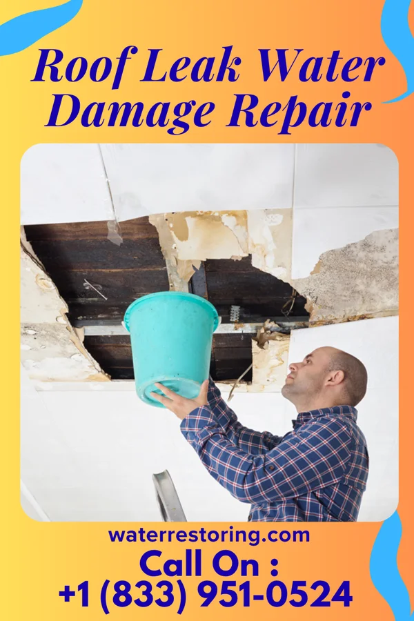 Roof Leak Water Damage Repair in Dimmitt, TX